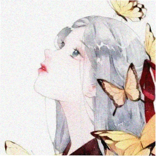 宜宾观众头像